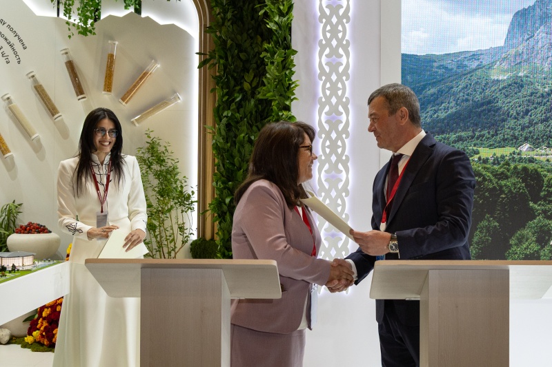 � ������ �� 2028 ���� ��������� �������� ��������� ��� �� ������� ����� 113 ��