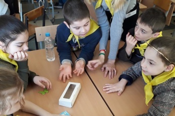 � ���� �������� ������� ������ ������� ���������