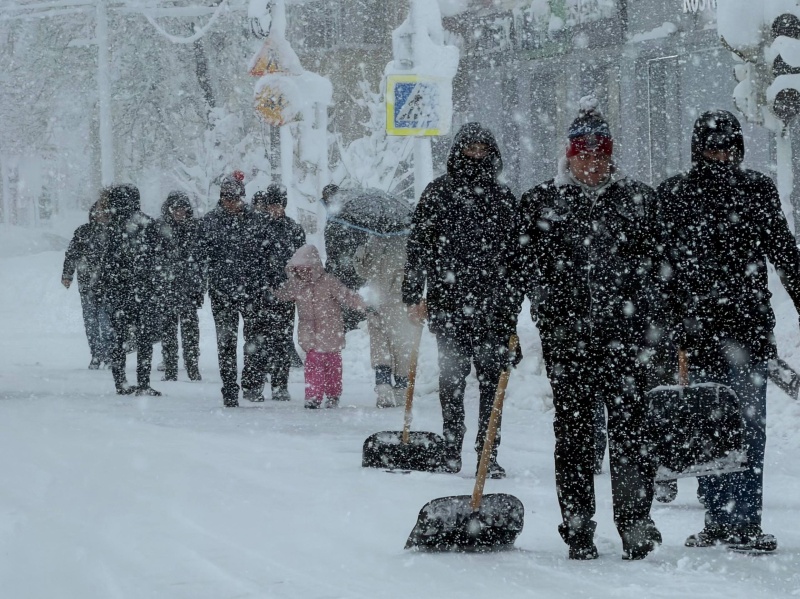 ����� �� ������ � ���������� ������� ������ ��� ���������� ����������� ���������