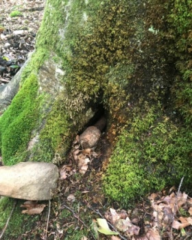 �������, ���������� � ������, ���������� � ���� ������� ����� ���