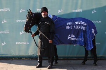 Жеребец из Адыгеи стал вице-чемпионом и обладателем приза зрительских симпатий на выставке «Иппосфера» Жеребец из Адыгеи стал вице-чемпионом и обладателем приза зрительских симпатий на выставке «Иппосфера»