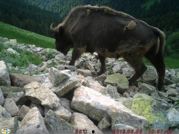 � ���������� ����������� ��������� 835 ������