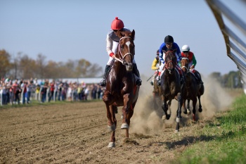 � ����� ��� ���������� � ������ ���������� ��������������� �����������