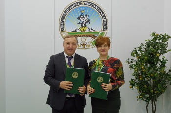 ����� ������ �������� � ���������� ���������� � �������� �������� � ����� ��������� �����������