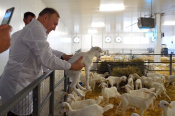 Компания «Мирный – Адыгея» открыла в республике второй товарно-молочный комплекс