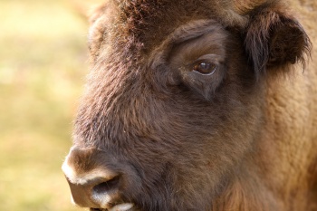 ����� ������ ���� ���������� ����������������� ��������� �� ��������� �������� ��������� ��������