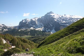 ���������� ���������� ��������� ������ ������������� ��������