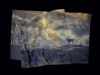 Фотограф из Майкопа Елена Акулова стала дипломантом II Международного конкурса фотографии «СВЕТ и ЦВЕТ». Фотограф из Майкопа Елена Акулова стала дипломантом II Международного конкурса фотографии «СВЕТ и ЦВЕТ».