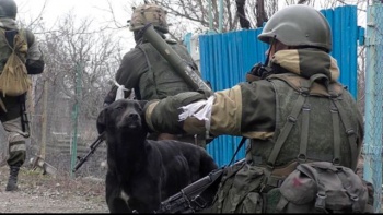 ����� ������ �������� ������, ����� ������������