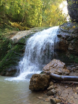 ��� ������������� ������������ ������ �� ���� ��� ������� ���