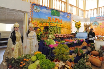 � ������ ���������� ���������� ����������������� ���������