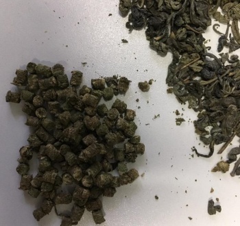 � ������ ����� ��������� � ������ ���